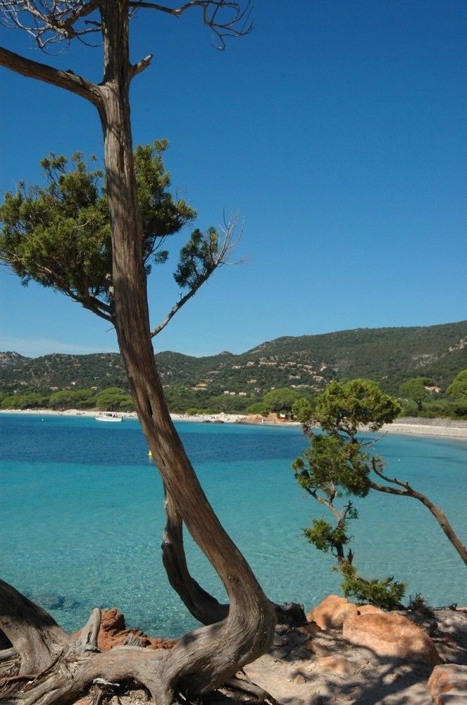 Complesso Residenziale Marina Di Pinarello Apart otel Pinarellu Dış mekan fotoğraf